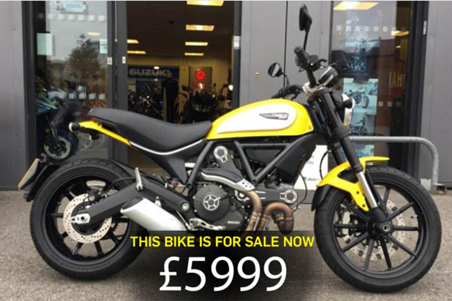 ducati scrambler 800 for sale