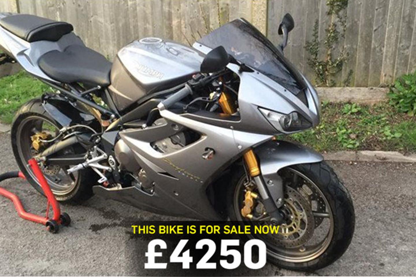 daytona triumph 675r for sale