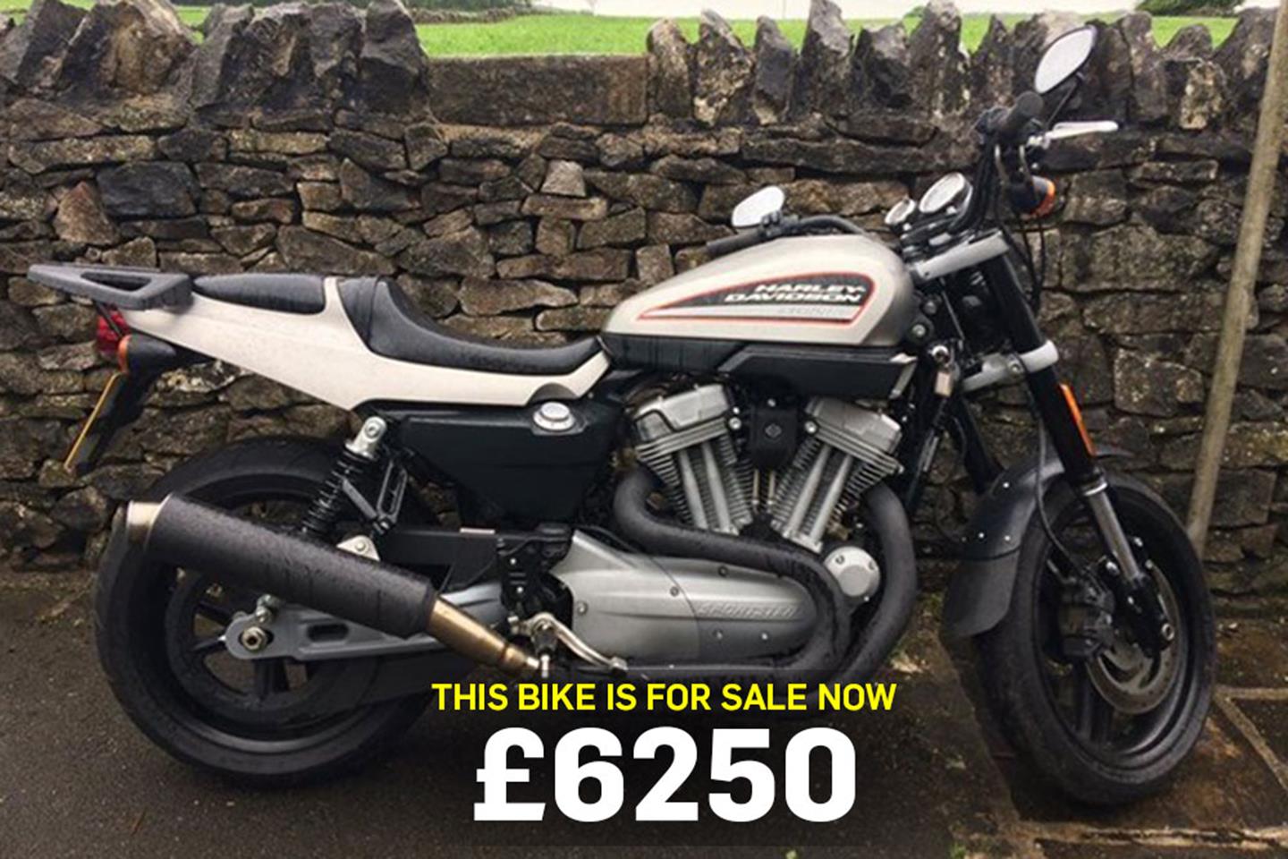 harley xr1200 for sale