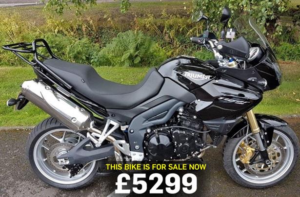 triumph tiger 1050 luggage for sale