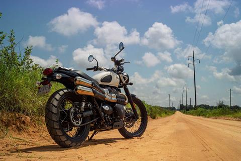 Intermot: Triumph unveil 2019 Street Scrambler