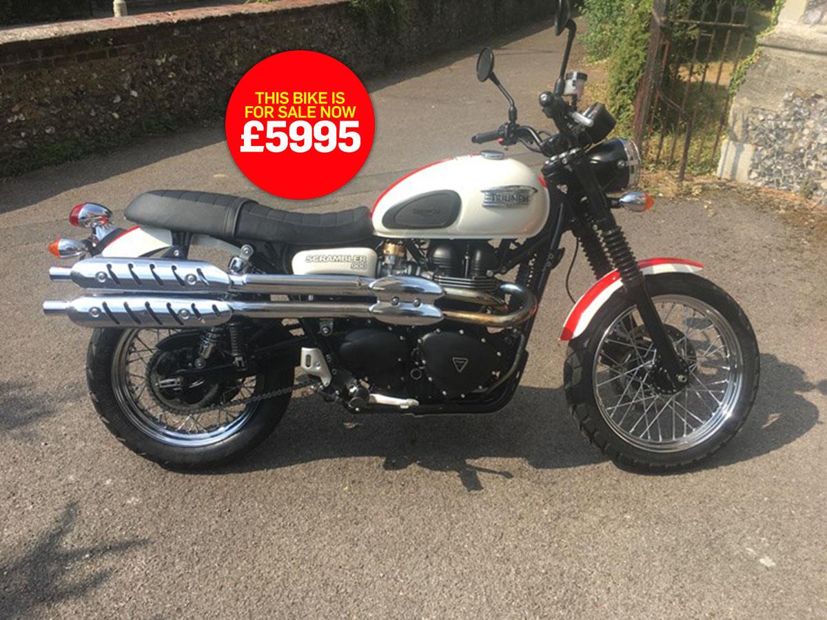 triumph scrambler for sale