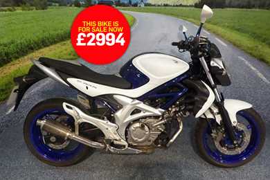 Bike of the day: Suzuki Gladius 650