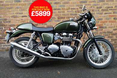 Bike of the day: Triumph Thruxton 900