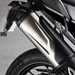 Triumph Tiger 900 exhaust can