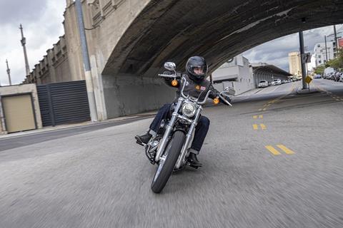 Harley-Davidson Softail Standard offers clean slate for customisers