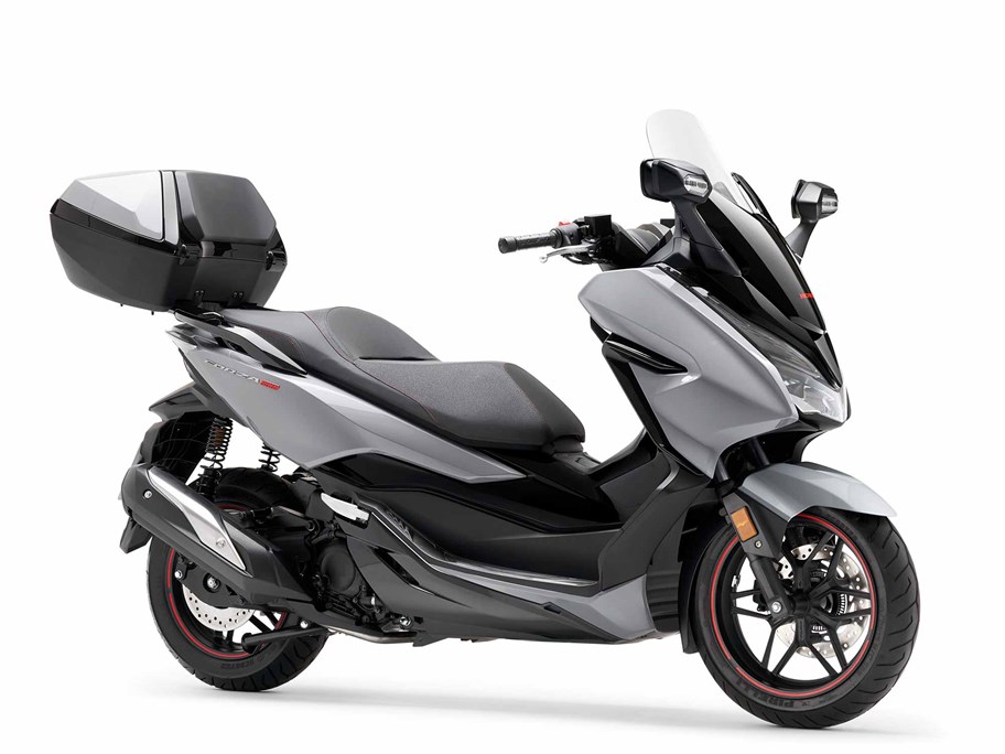 Limited Edition version of Honda Forza 300 added to 2020 line-up | MCN