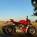 The Ducati Streetfighter V4 S on a summer ride