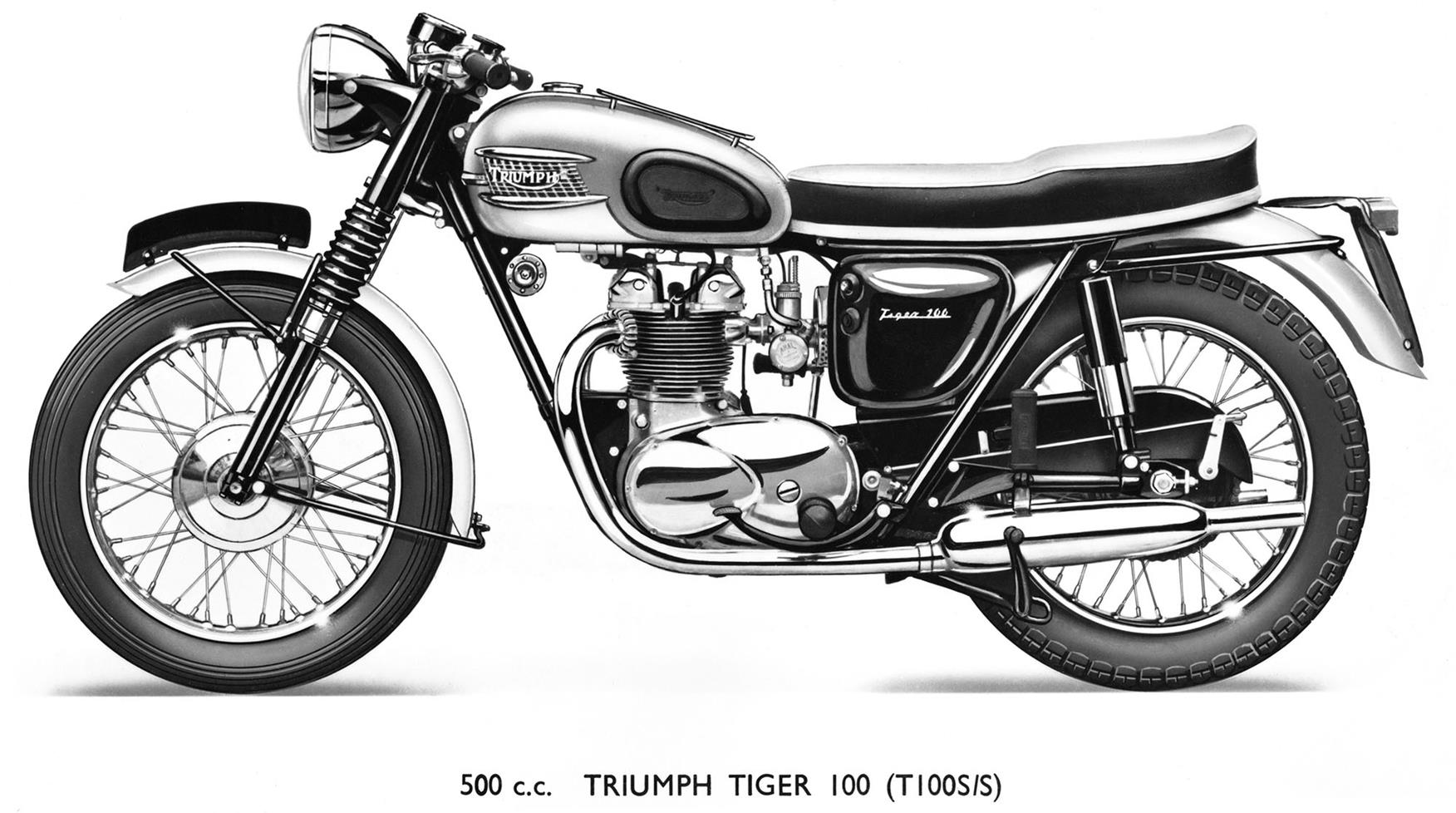 The Tiger has a long heritage The Tiger has a long heritage
