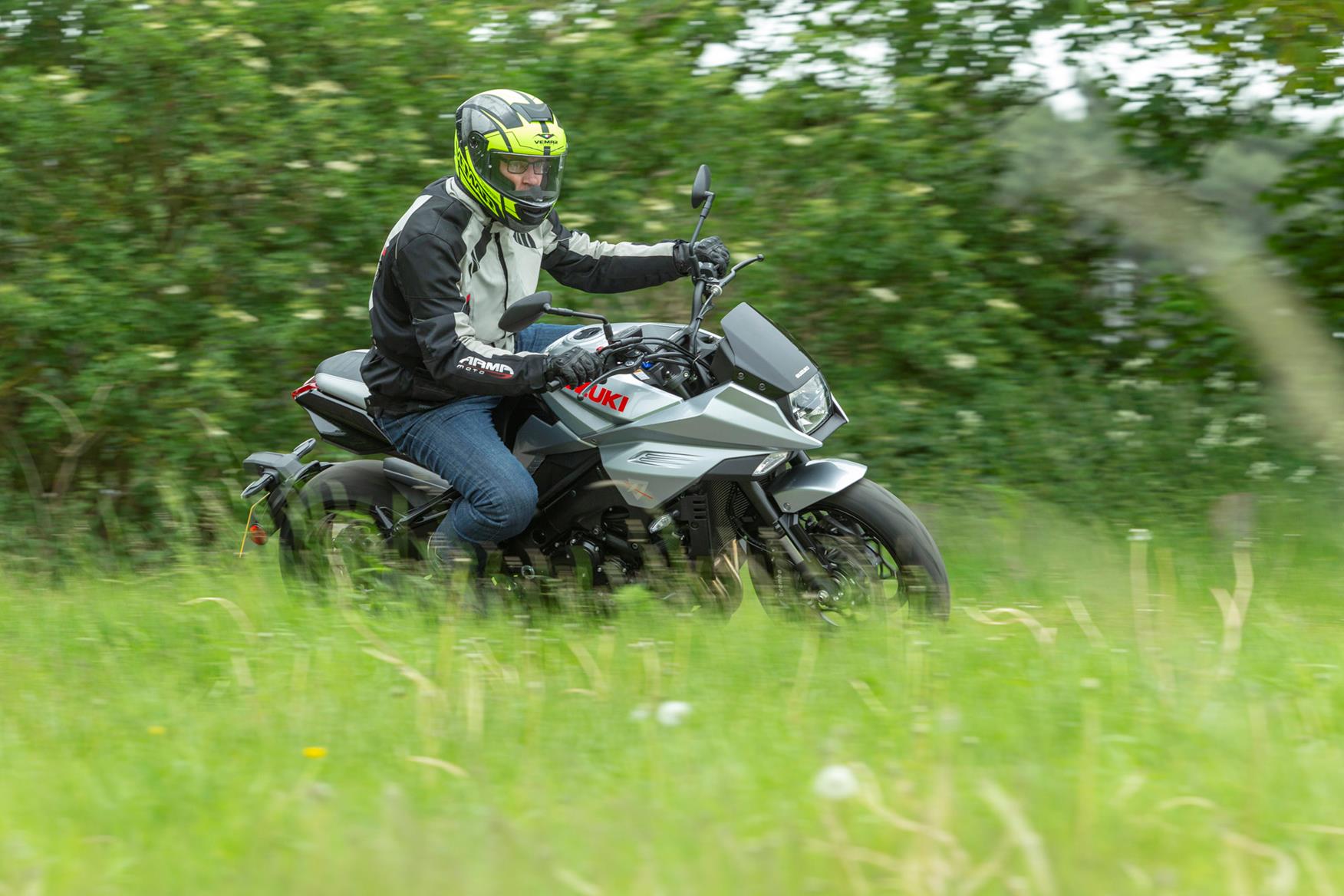 Suzuki's big Kat stalks in the long grass Suzuki's big Kat stalks in the long grass