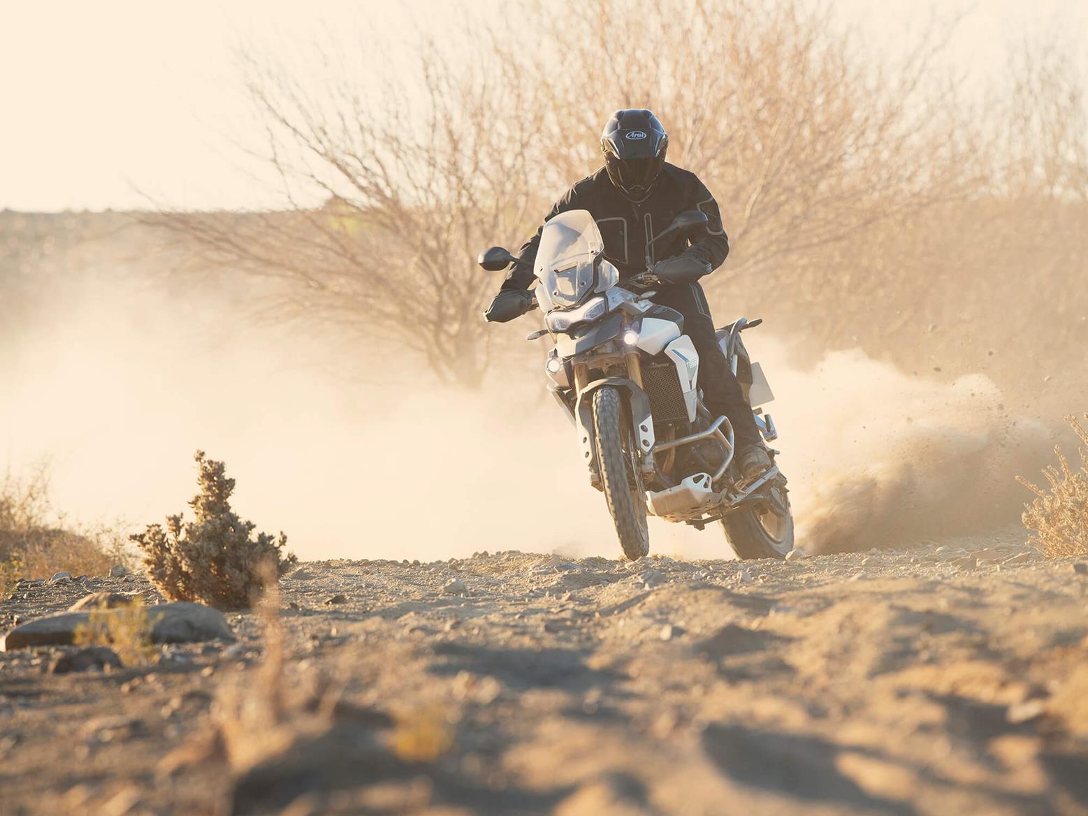 Triumph Tiger 900 Rally Pro sideways on desert Triumph Tiger 900 Rally Pro sideways on desert
