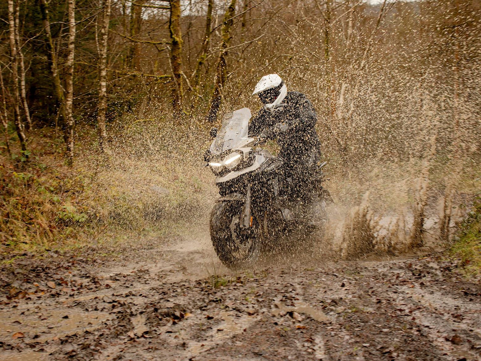 The Desert Edition Triumph gets muddy in a forest The Desert Edition Triumph gets muddy in a forest