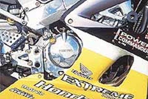 Extreme Performance Blade