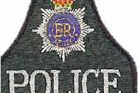 Professional thieves target Brands
