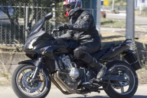 New Honda CBF600 for 2008