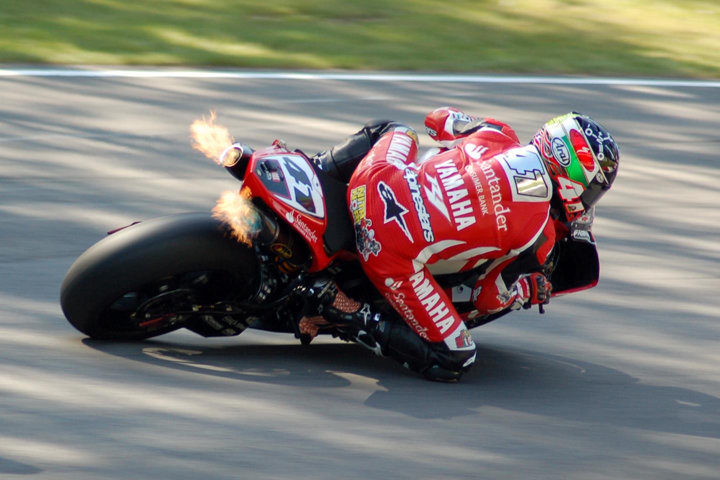 Brands WSB in pictures | MCN