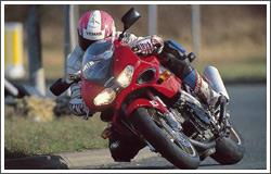 Suzuki TL1000S
