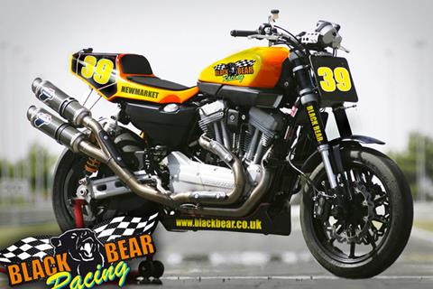 Black Bear in XR1200 Trophy