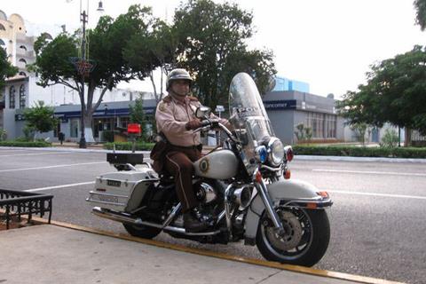 Harleys trail last in CHiPs-style tests