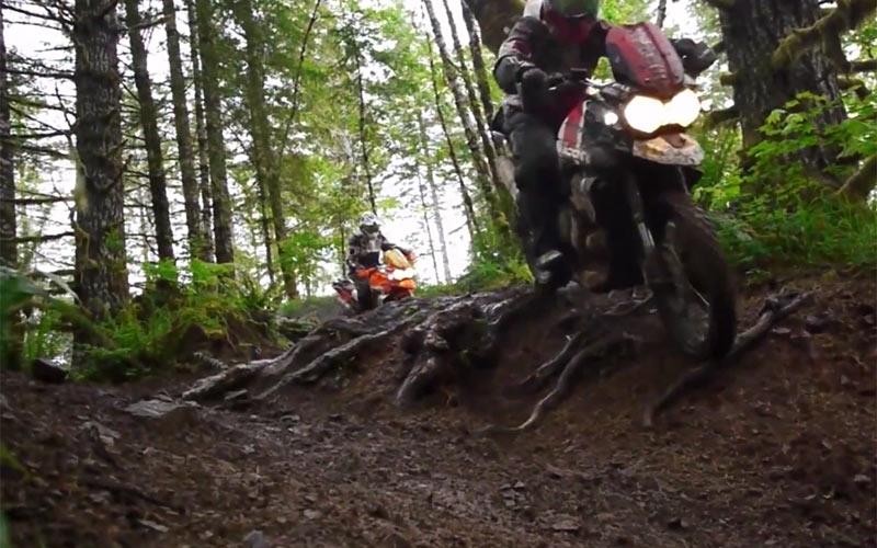 Video: Icon take the Triumph Tiger 800 off-road | MCN