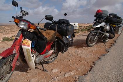 Little and large in the Western Sahara