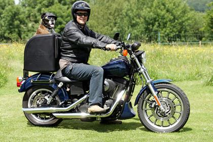 Slobber te boxer with his owner Nick from Salisbury