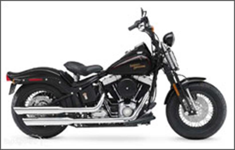 Harley-Davidson Cross Bones