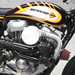 The Sportster 883-based machine features a turbo-charger