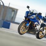 Yamaha R6 owners needed