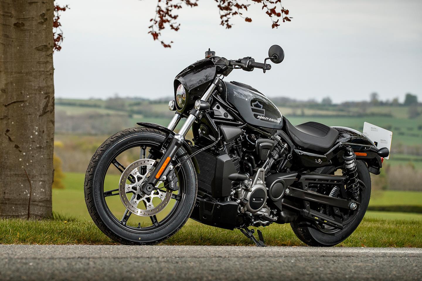 Hd best sale sportster nightster