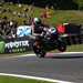 Tommy Bridewell goes over the Mountain at Cadwell Park