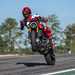 Popping a wheelie on the Ducati Monster SP