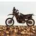 Bolt on upgrades could be in development for the Ténéré 700 range, hint Yamaha