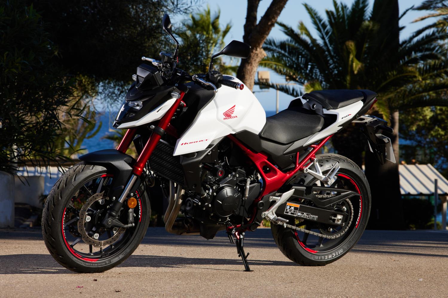 Honda hornet deals