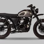 Mushman reimagined: Mutt scrambler returns, now with added attention to detail