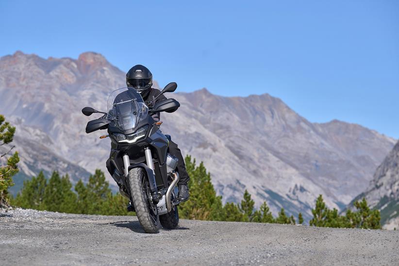 Stelvio - with rider