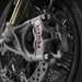 Ducati Streetfighter V4 SP2 front brake