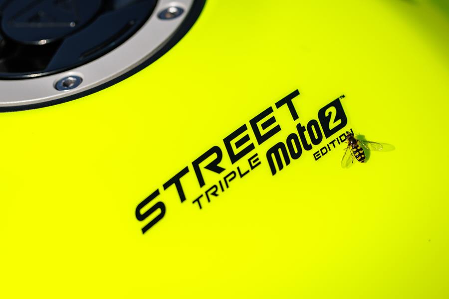 Triumph Street Triple 765 Moto2 Edition tank decal