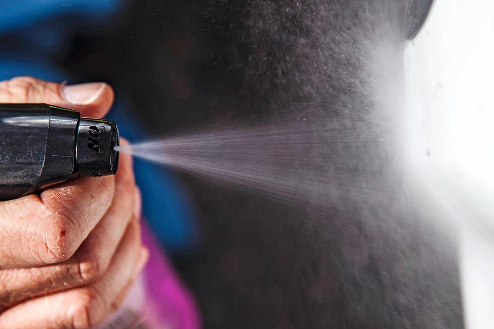 Dreaming of a sustainable trip across Europe ... - Facebook