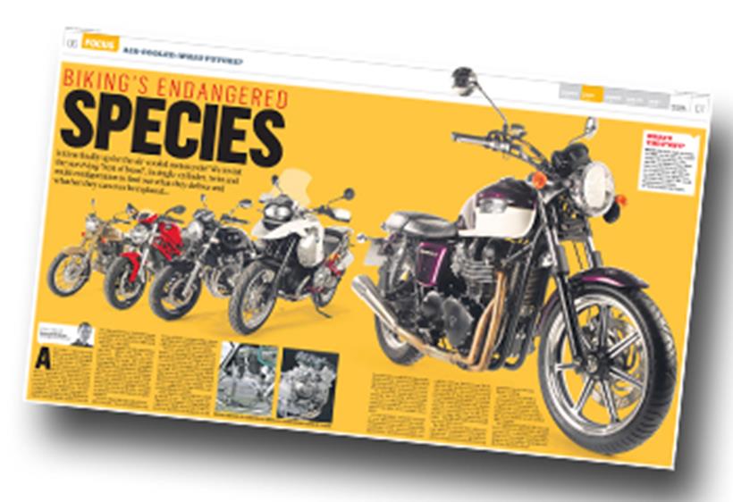 MCN January 11