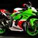 ZX-10RR - green and red