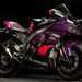 ZX-10RR - purple and red