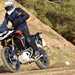 2024 Triumph Tiger 900 Rally Pro tested for MCN by Carl Stevens