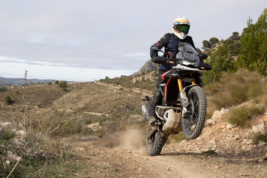 2024 Triumph Tiger 900 Rally Pro wheelie