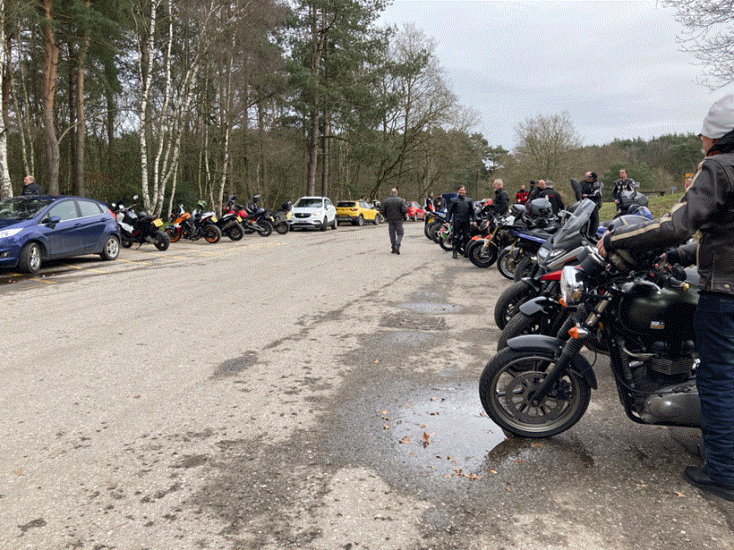 Bikes parked at Willingham woods