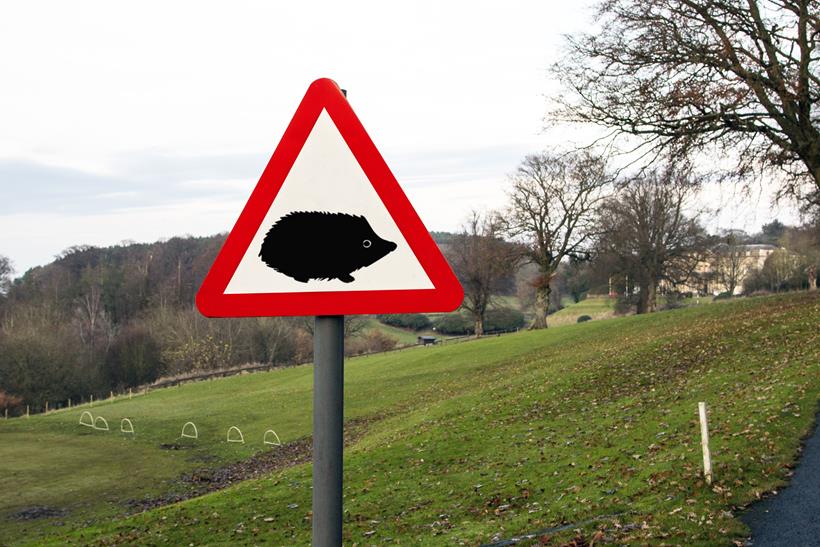 Old hedgehog signage