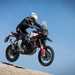 2024 Ducati DesertX Rally jumping off-road