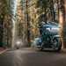 Harley Davidson forest riding picture