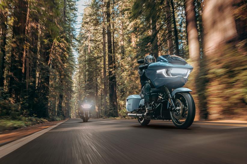 Harley Davidson forest riding picture