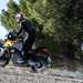 2024 Moto Guzzi Stelvio spinning rear wheel off-road